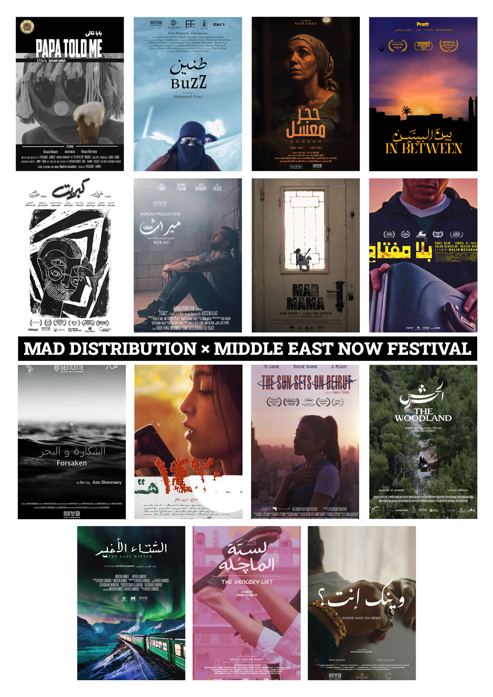 Fifteen MAD Shorts set to screen at the Middle East Now Festival